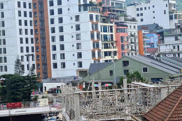 Cận cảnh rừng bê tông ở khu du lịch Tam Đảo
