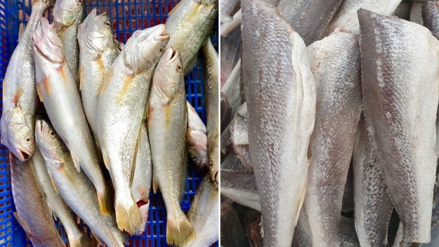 Loại cá ngày xưa chẳng ai thèm ăn, giờ thành đặc sản được xuất khẩu, tranh nhau mua